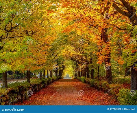 Autumn Foliage In Schonbrunn Park Vienna Austria Stock Photo Image