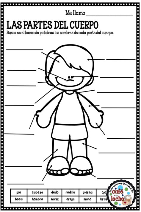 Las Partes Del Cuerpo Worksheet