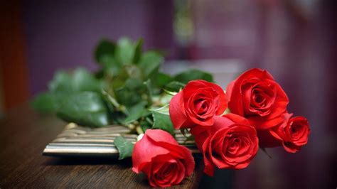 Iphone hd wallpaper, beautiful red rose hd wallpaper , free download red flowers pictures, red flowers and rose full hd 1080p desktop backgrounds, romantic red rose,valentine rose images. Rose Flower Wallpapers HD - Wallpaper Cave