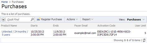 Code On Time Development Account Manager Purchases