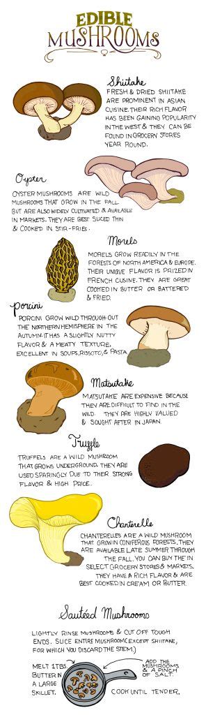 Your Guide To Identifying And Cooking Edible Mushrooms Infographic