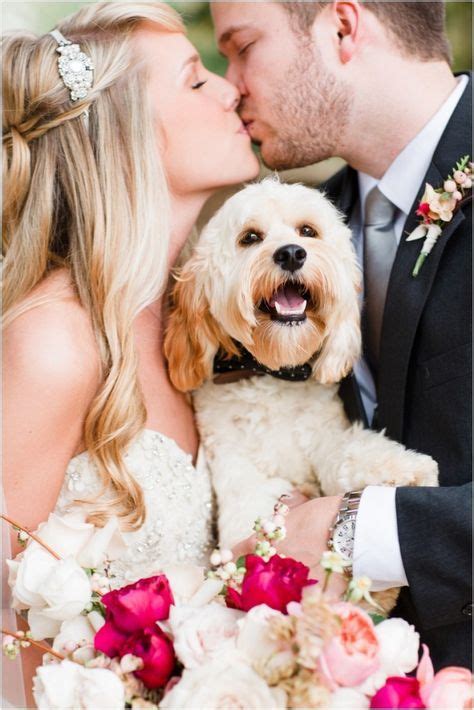 43 Trendy Wedding Photos With Dogs Wedding Pets Photos With Dog