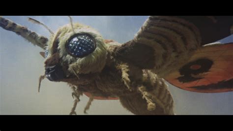 Dreadful Future Mothra Vs Godzilla 1964 Dir Ishiro Honda