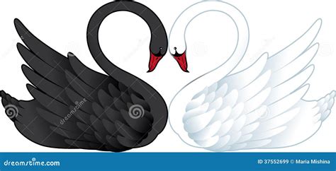 Two Swans In Love Stock Vector Illustration Of Happiness 37552699