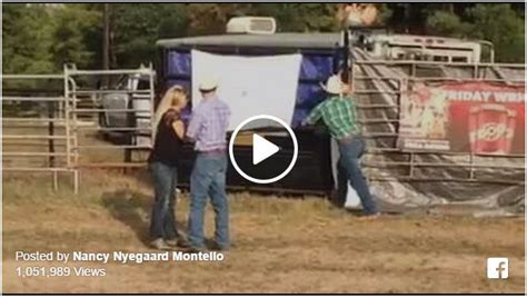 Then, and i don't know who is responsible, someone introduced danger and gunpowder and explosives. This Is How Horse People Do A Gender Reveal Party! - The ...