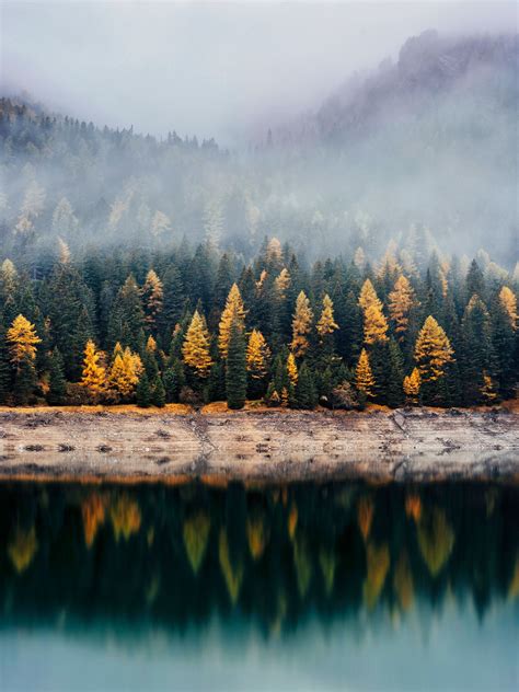 Forest Wallpaper 4k Reflection Woods Autumn Lake