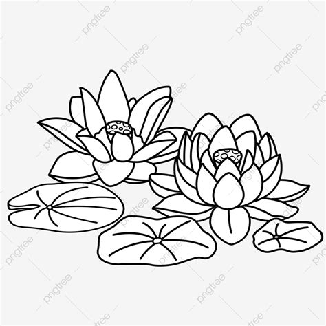 Bunga lotus berbeda dengan bunga teratai, perbedaan lebih jelasnya anda dapat lihat sebagai berikut. Mewarnai Kolam Bunga Teratai : Siapa sih yang tidak tahu ...