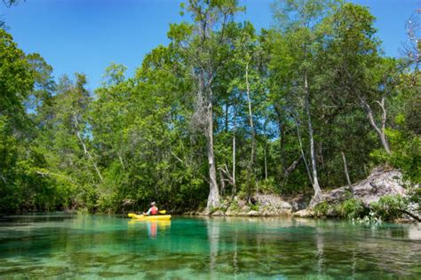 Weeki Wachee Stock Photos Pictures And Royalty Free Images Istock