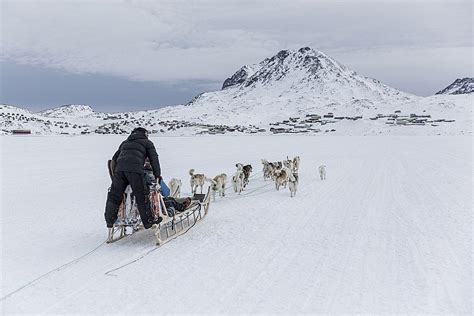 5 Day Self Guided Greenland Dog Sledding Tour