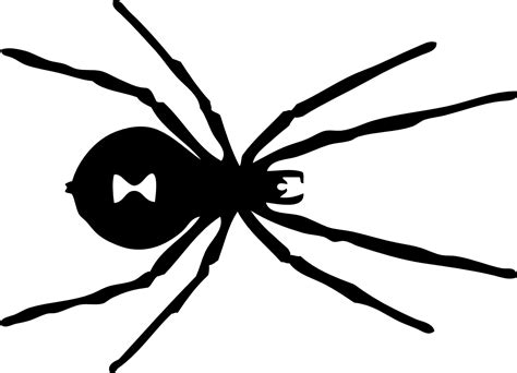 Black Widow Spider Drawing Unixmen