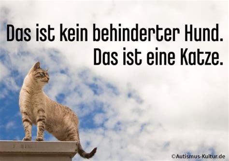 Sie brauchen unterstützung, um soziale kontakte zu knüpfen. Asperger-Syndrom: Symptome, Beschreibung und Diagnose