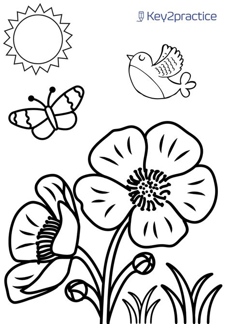 worksheets  colouring sheets  pre primary keypractice