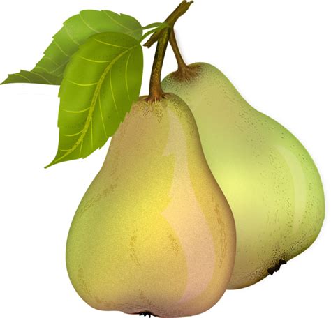 Pear Free Download Png Png All