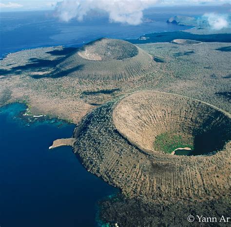 Biodiversity In The Galapagos Islands Explored Britan