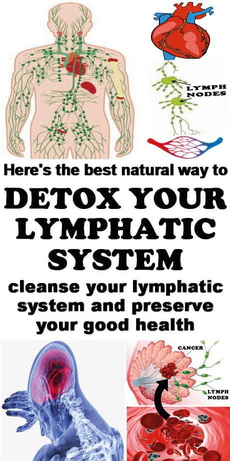 Heres How To Detox The Lymphatic System Naturally Lymphaticsystem