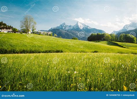 Idyllic Landscape In The Alps With Blooming Meadows In Springtime Stock