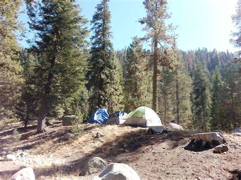 Lodgepole Campground Sequoia And Kings Canyon National Park