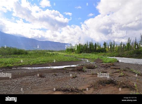 River In Mountain Taiga Water Landscape Putorana Plateau Siberia