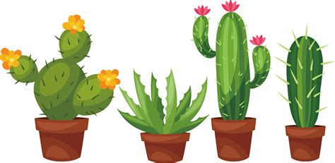 Cactus Png Clipart 10 Free Cliparts Download Images On Clipground 2023