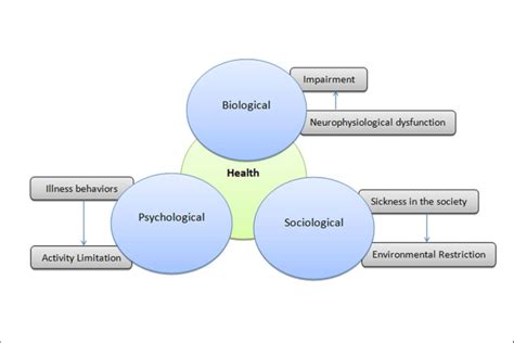 The Biopsychosocial Model Of Health Links Biological Psychological And Download Scientific