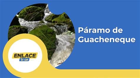 Descubre El Nacimiento Del Río Bogotá En El Páramo De Guacheneque