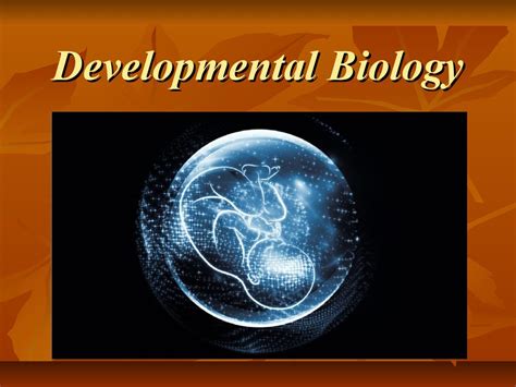 Developmental Biology презентация онлайн