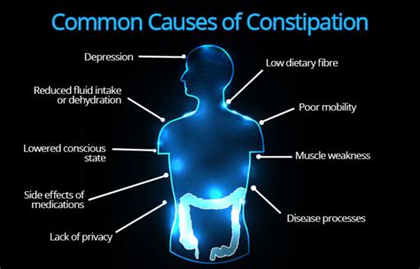 Common Causes Of Constipation Ausmed