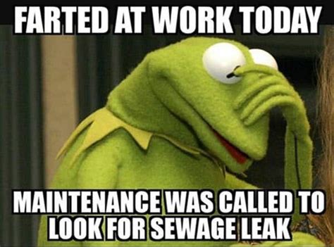 Kermit The Frog Memes That Are Insanely Hilarious Sayingimages Com