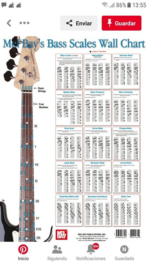 Bass Guitar Notes Guitar Chords And Scales Learn Bass Guitar Bass