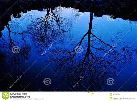 Water Reflection Of Trees Stock Photo Image Of Abstract 28428052
