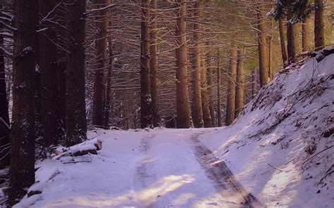 Download Wallpaper 3840x2400 Road Forest Nature Trees Snow Winter