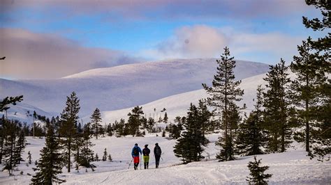 Lapland In The Eyes Of Tourists Visit Lapland
