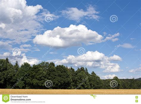 Summer Landscape With White Clouds On The Blue Sky Stock Image Image