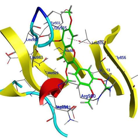 The Active Site Of Compound 2 In The Target Protein Download