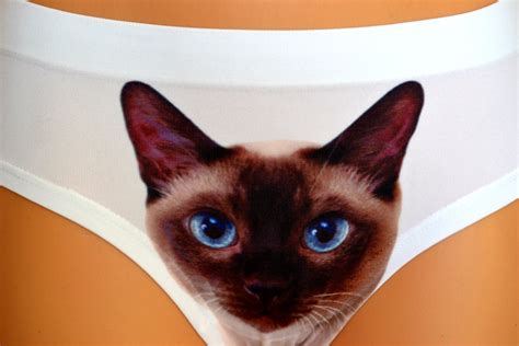 cat panties underwear t for her pussycat siamese cat face s