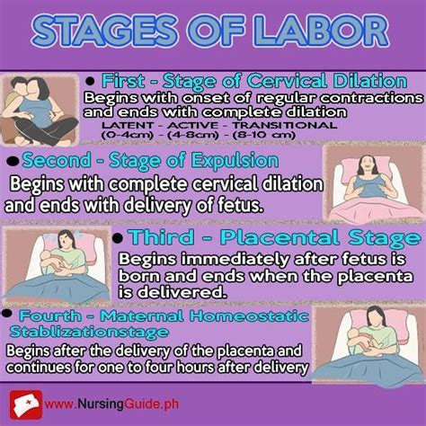 stages of labor postpartum nursing nursing assessment