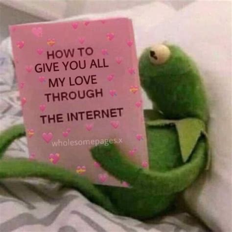 Kermie The Frog Holding Up A Sign That Says How To Give You All My Love Through The Internet