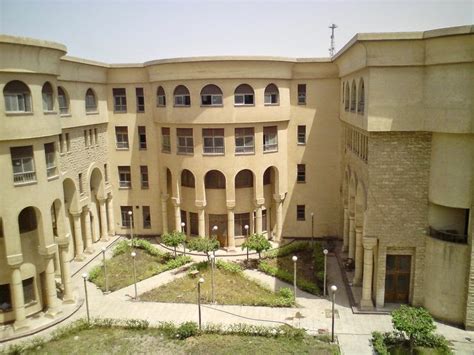 جامعة الأزهر الشريف مصر د محمود فتوح محمد