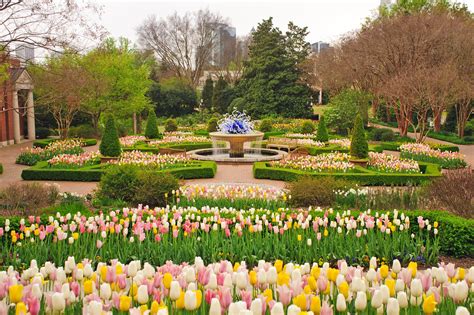 Atlanta Botanical Garden A Vibrant Floral Wonderland Go Guides