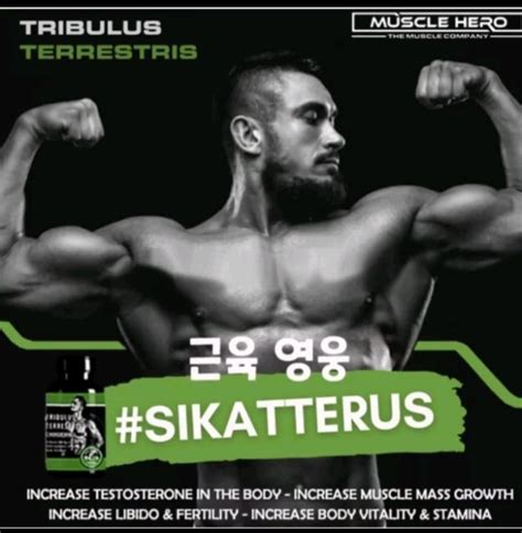 Tribulus Terrestris Peningkat Hormon Testosteron By Muscle Hero