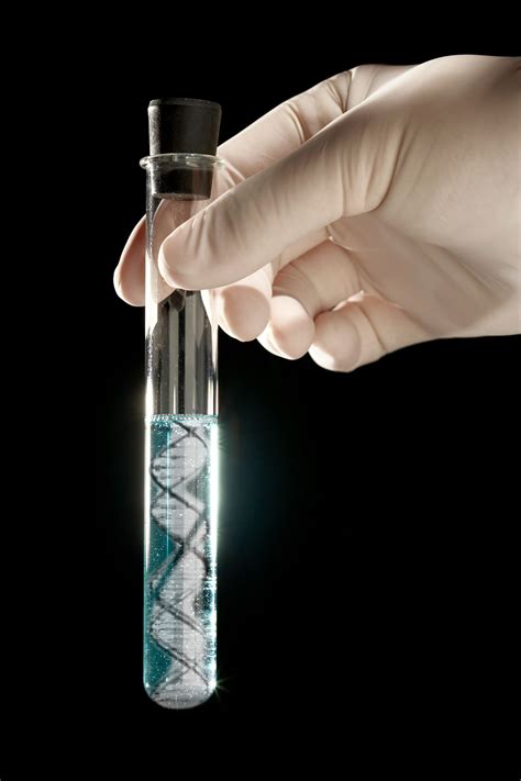 How To Extract Dna From Any Living Thing Kimya Genetik Biyoloji