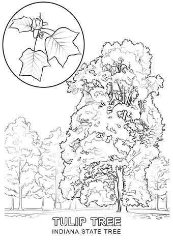 Appalachian Mountains Coloring Page Christopher Myersa S Coloring Pages