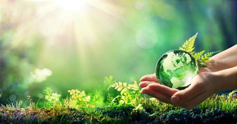 O Que é Sustentabilidade Ambiental E Qual Sua Importância Blog Usisol