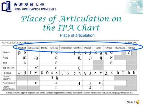 Ppt Place Of Articulation Powerpoint Presentation Free Download Id