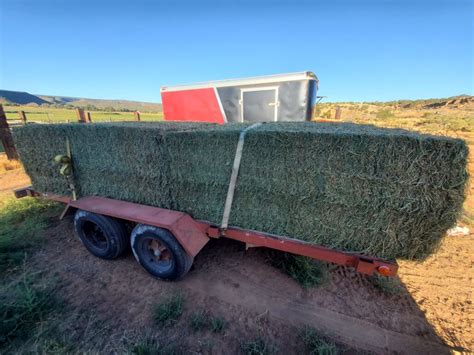 Hay For Sale In Colorado