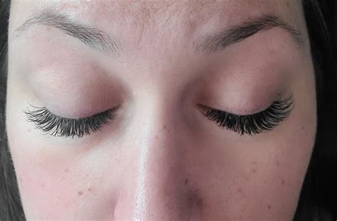 Classic Meow Lash 8mm In 13 Mm Out🙌 Reyelashextensions