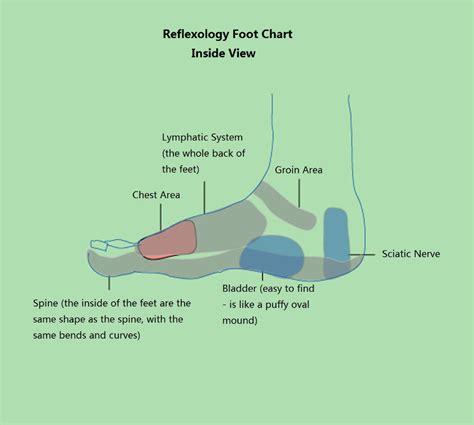 Foot Acupressure Points Complete Guide For Acupressure Foot Chart