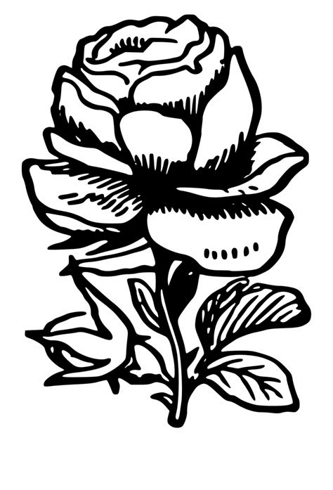 Free Rose Clip Art Black And White Download Free Rose Clip Art Black