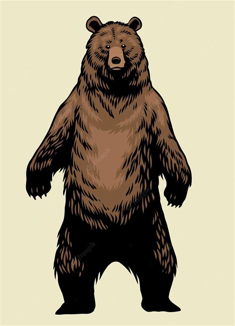 Premium Vector Hand Drawn Of Standing Brown Grizzly Bear