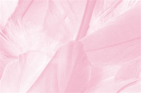 Premium Photo Pink Vintage Feather Texture Background